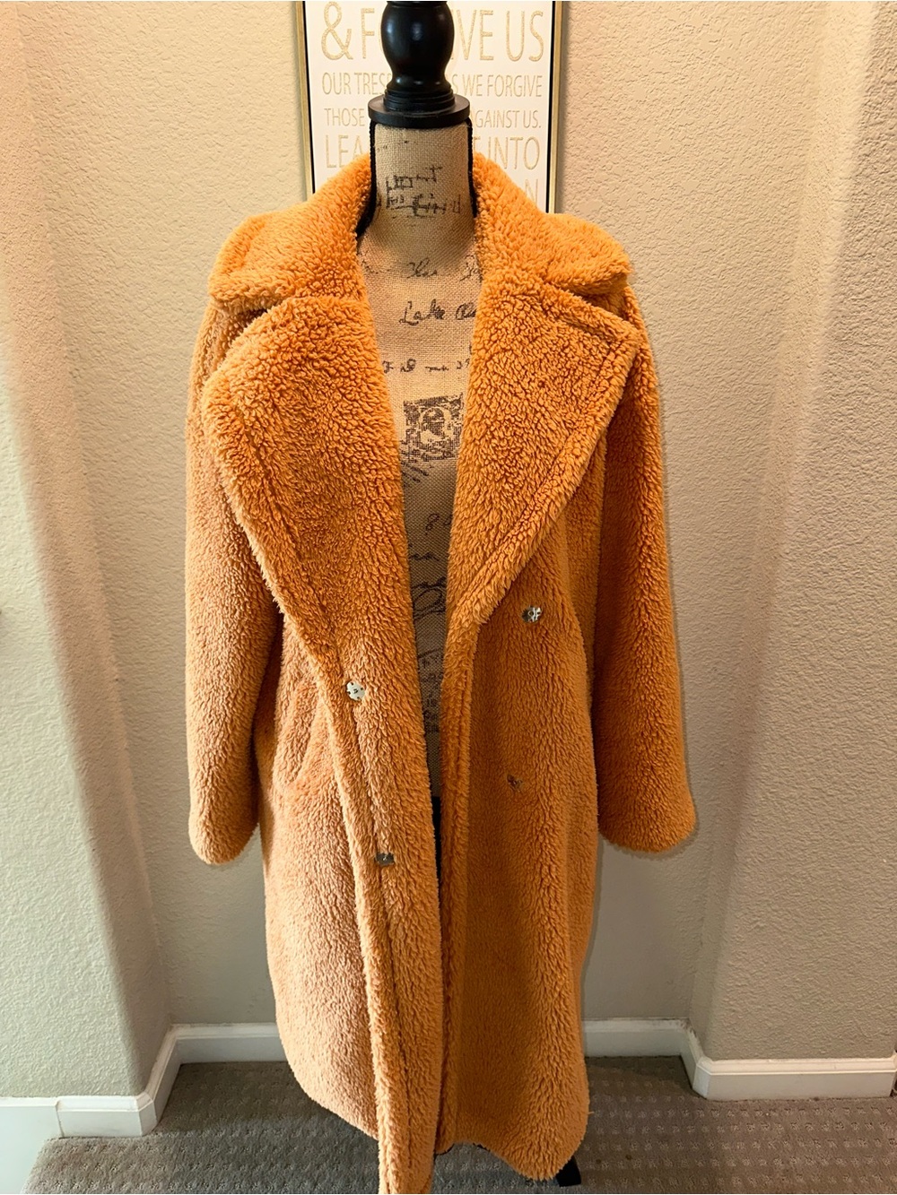 SHEIN Orange Plush Teddy Coat - Fits OverSized!